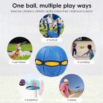 flat ball disc 2